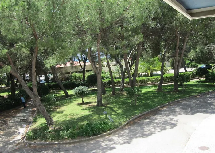 아파트 Torralta 알보르